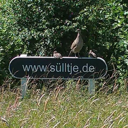 Apartment Huus Suelltje In't Logis