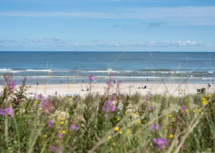 Huus Suelltje In't Logis Апартаменты *