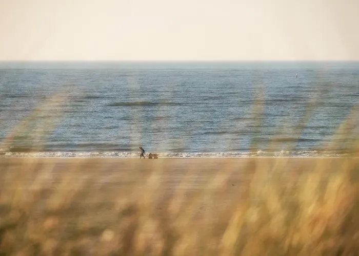 Huus Suelltje In't Logis Апартаменты